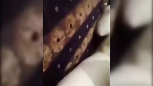 Ногаец лижет стопы телки и трахает в рот